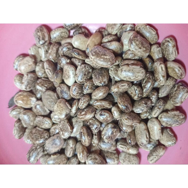 

Biji Kacang Koro Benguk 1kg