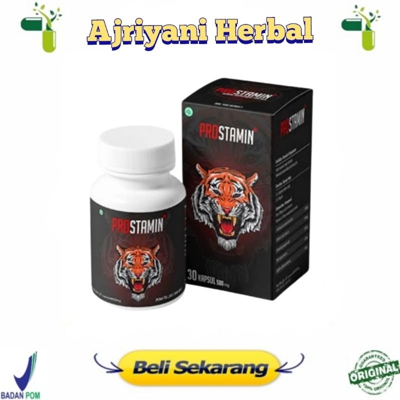 Prostamin Asli Original Obat Herbal Pria Prostamin Pembesar Pria