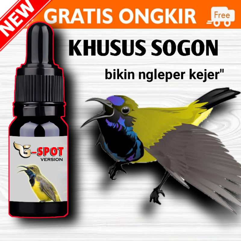 Doping sogon dosis tinggi - vitamin sogon dosis tinggi - vitamin burung - doping burung - nextar sog