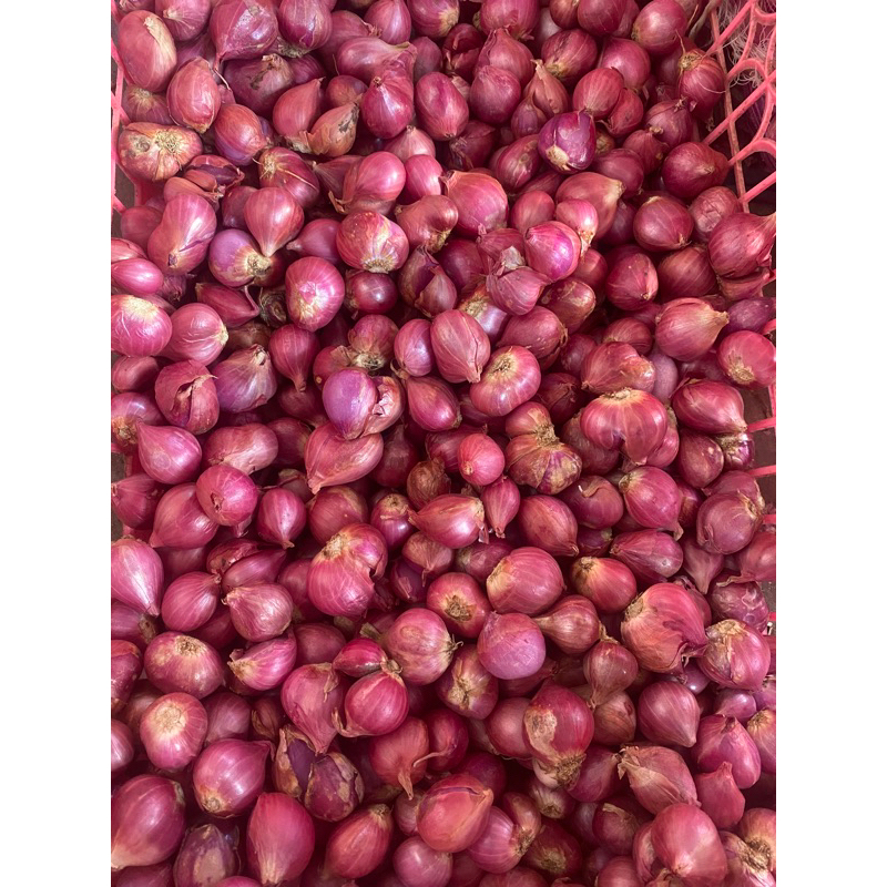 

bawang merah 1 kg