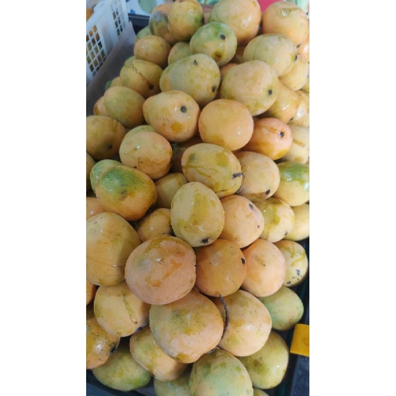 

Mangga Gedong-1kg |Manis|Buah segar|mangga