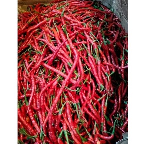 

Cabai kriting merah super pak Sr 500grm