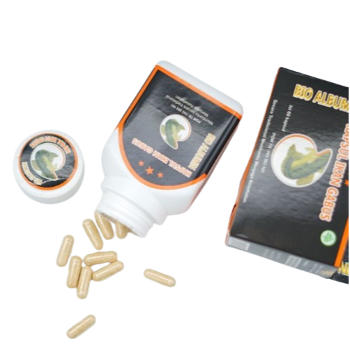 Kapsul Kutuk BIO ALBUMIN  - 60 kapsul Ikan Gabus