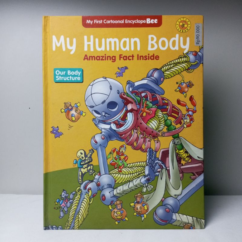 My Human Body Our Body Structure