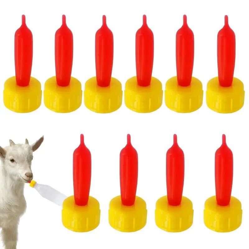 DOT CEMPE Dot Anak Kambing Domba Dot Kucing Anjing