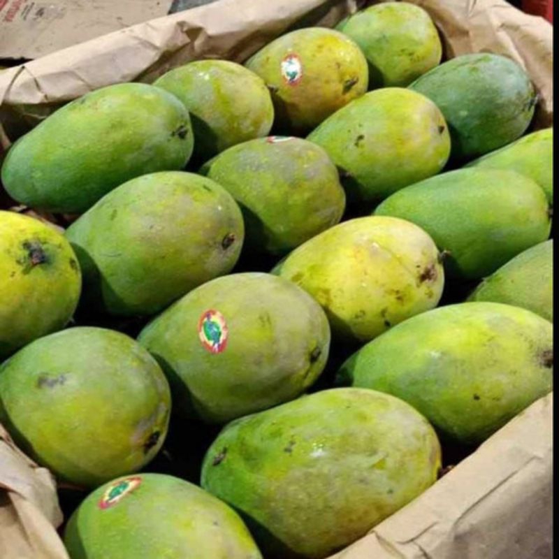 

Buah mangga harum manis great B 1kg