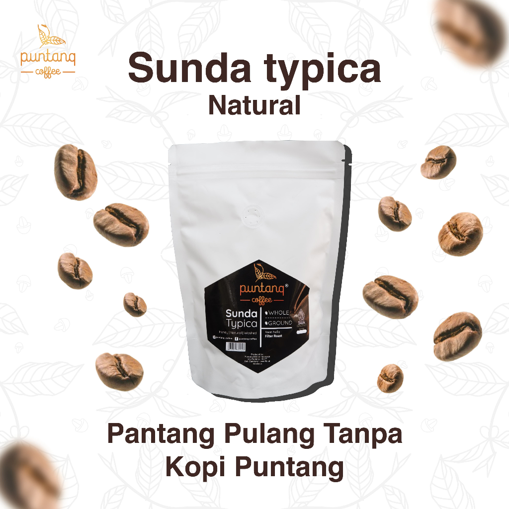 

Kopi Puntang Sunda Typica Natural Arabika Original 100gr