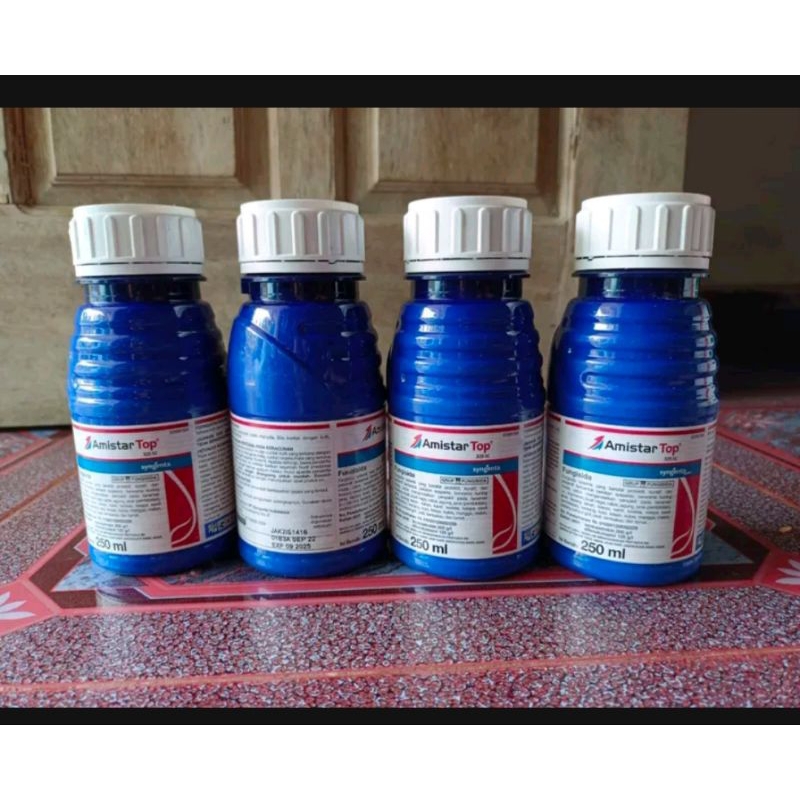 Amistartop syngenta original