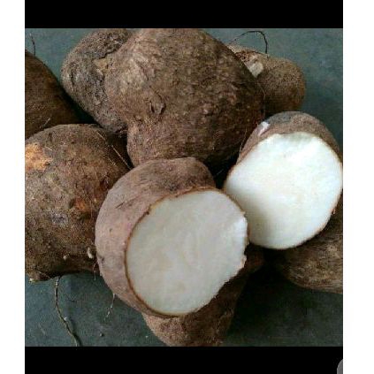 

UWI KETAN PUTIH 500g
