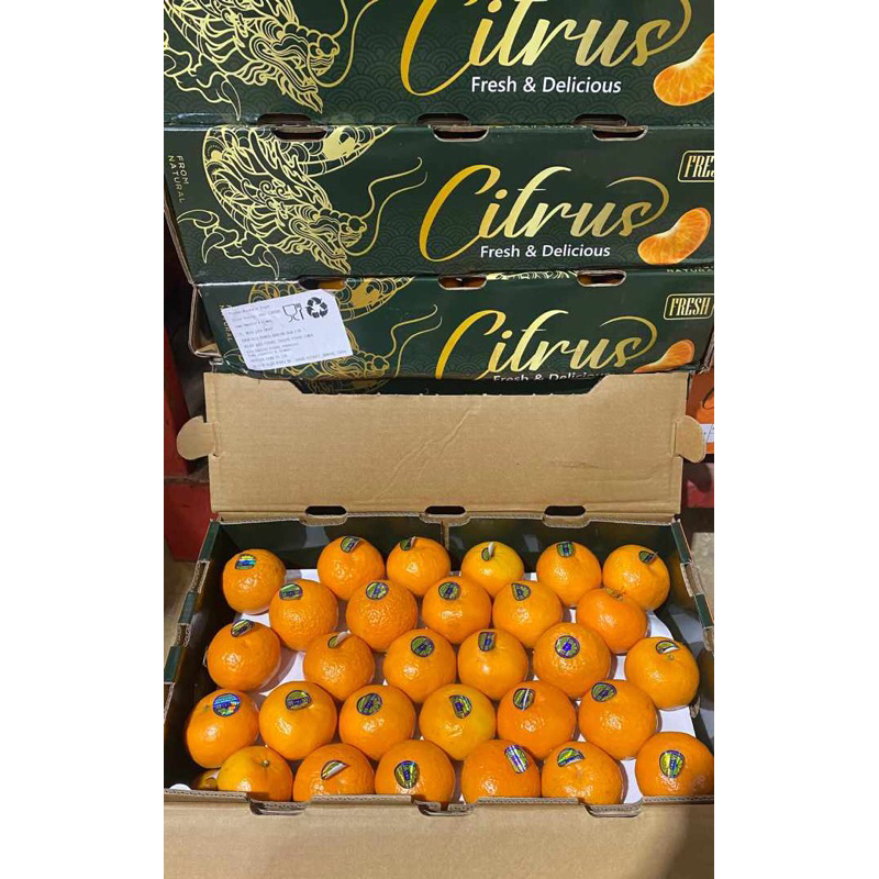 

Jeruk Wogan Citrus /kg