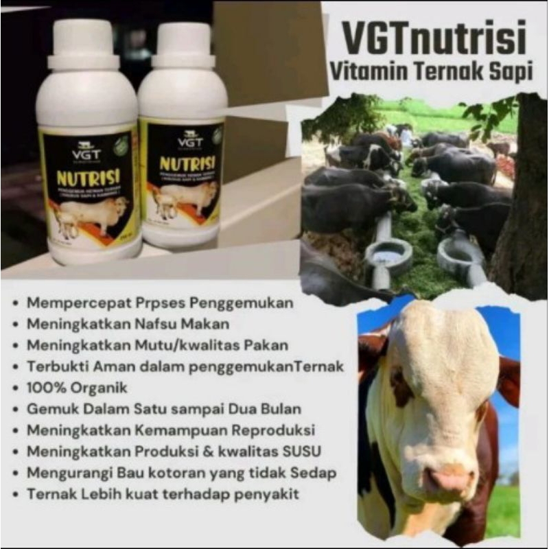 vgt sapii nutri sapi