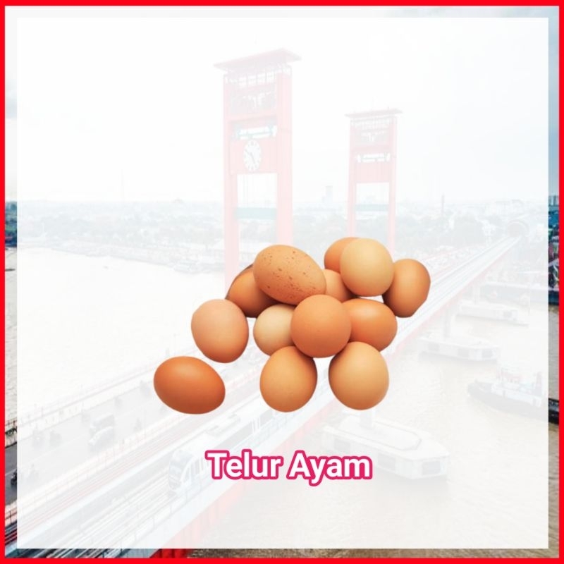 

Telur Ayam Negeri Telor - Ampera Palembang