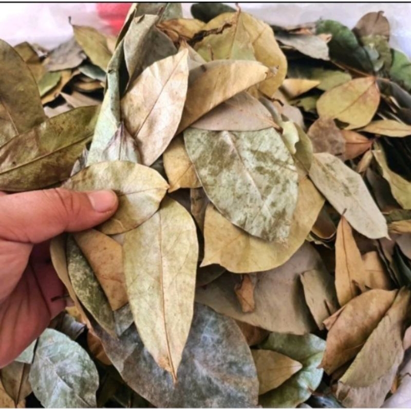 

Daun sirsak kering Murni daun 250 gr
