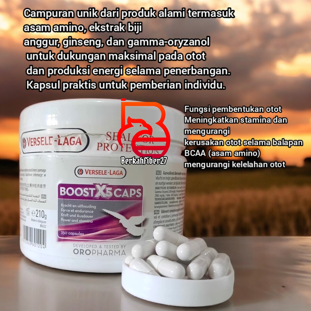 Boost X5  10Caps Versele Laga Pil Vitamin Doping Burung Merpati Boostx5 Import Vitamin Kapsul
