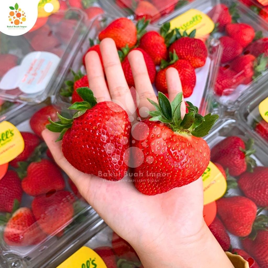 

Strawberry USA Jumbo [@400gr]