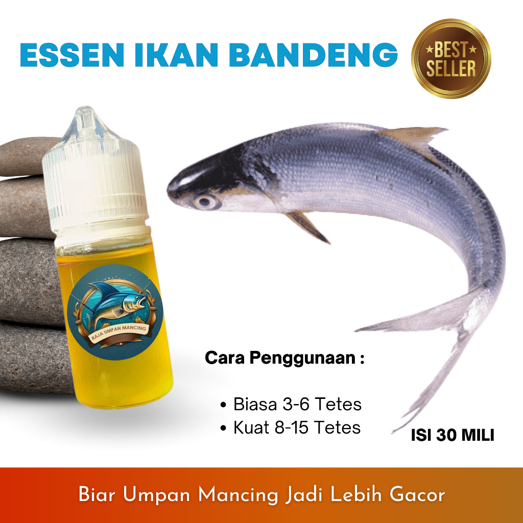 Essen Ikan Bandeng Tambak Rame dan Babon Paling Gacor | Raja Umpan Mancing