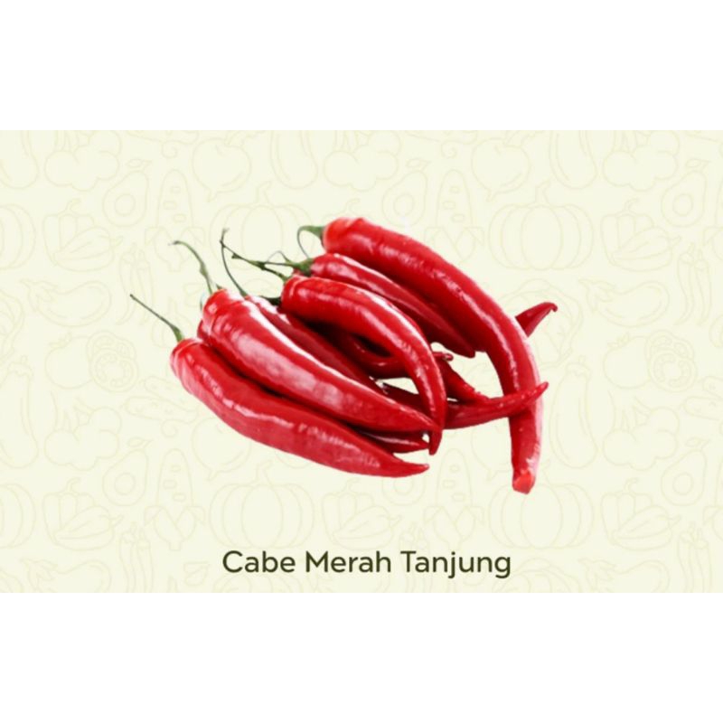 

Cabe Merah Tanjung
