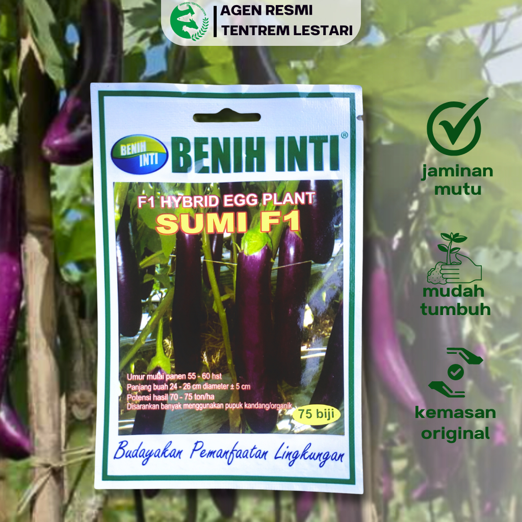 Benih Unggul Terong Ungu F1 Hybrid Edd Plant SUMI F1 75 Biji Cap BENIH INTI Tahan Penyakit & Unggul
