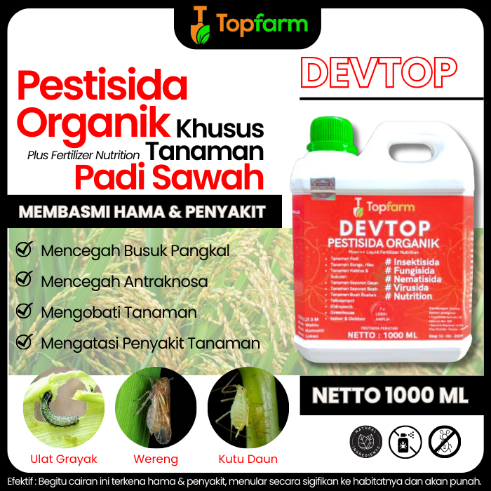 Obat Padi Sundep Paling Ampuh / Obat Padi Sawah / Obat Padi Untuk Hama Wereng / Obat Padi Daun Kunin