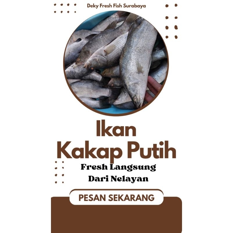 

Ikan kakap putih / cukil 1 kg