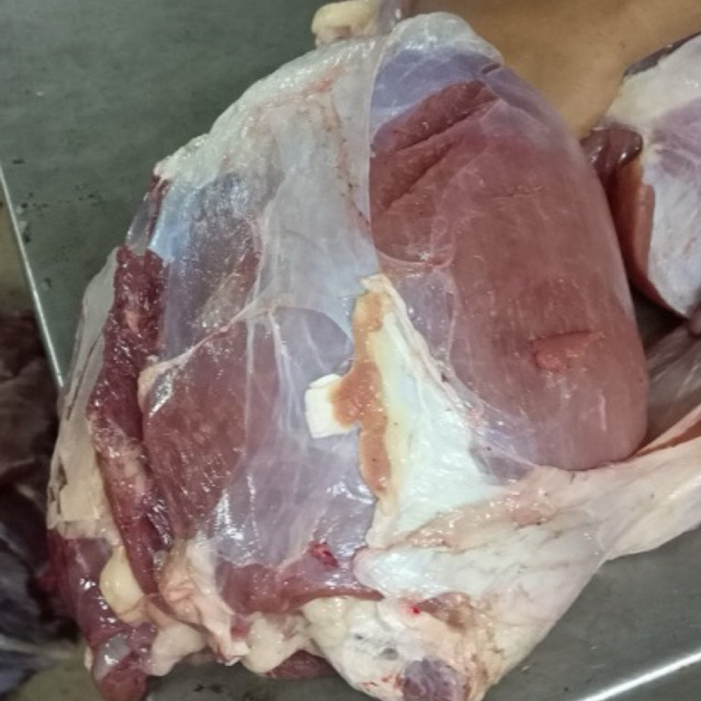 

DAGING EMPAL SAPI 1kg / DAGING SAPI RENDANG / Paha Belakang