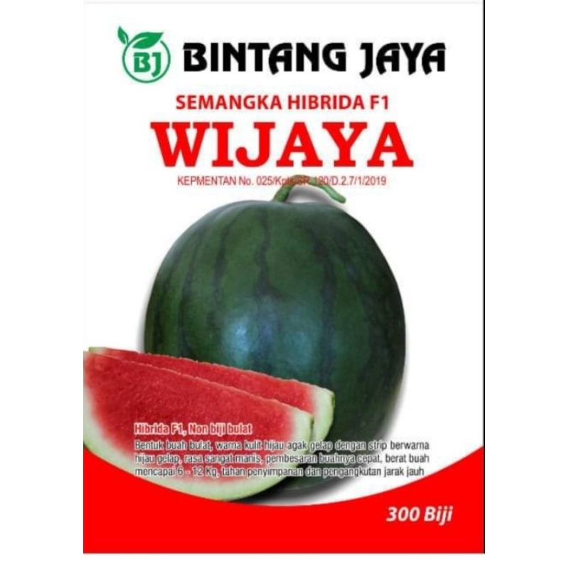 (Ready) Bibit Semangka  F1 WIJAYA (benih semangka) dari BintangJaya