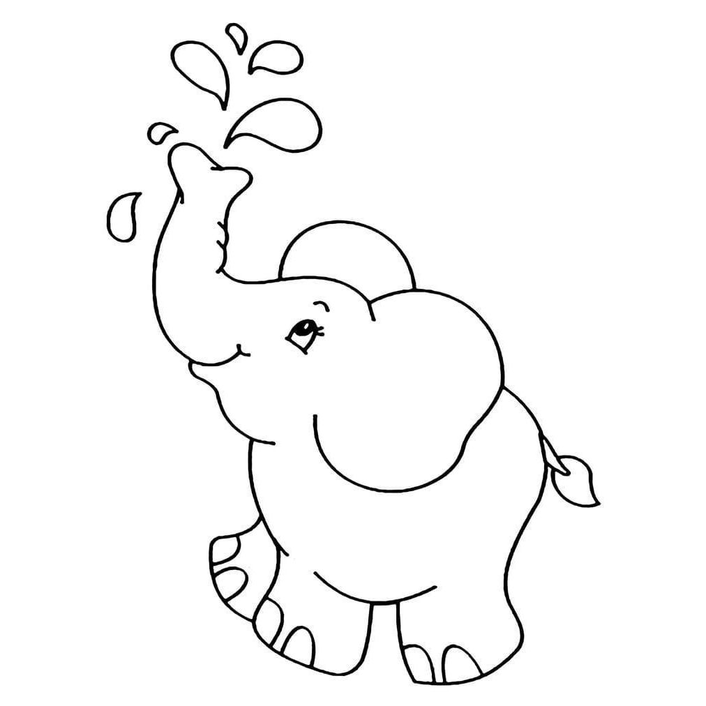 

Gambar Mewarnai Anak Anak Series Hewan Bukan Buku Mewarnai Ukuran Kertas A4