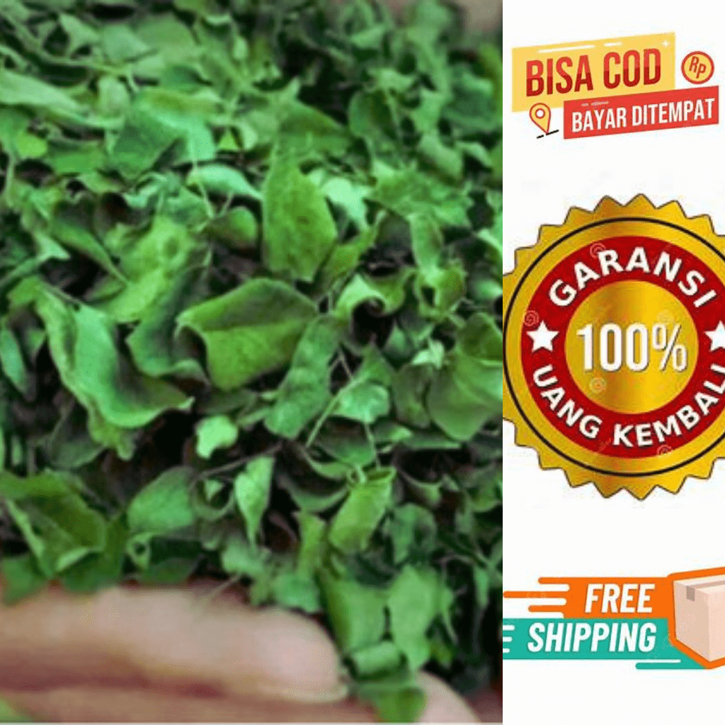

( 1 kg ) Daun Kelor Kering / Dred Moringa Leaves