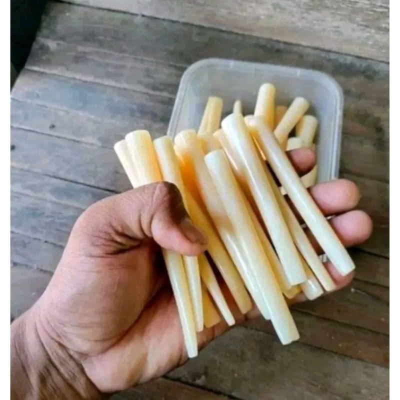 once/pipa tulang sapi