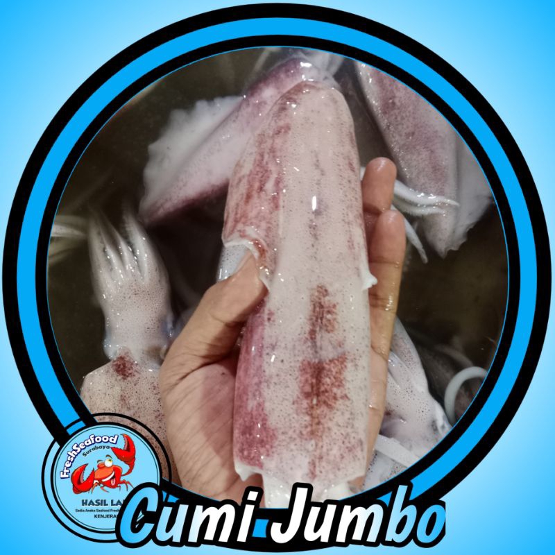 

CUMI CUMI JUMBO 1KG