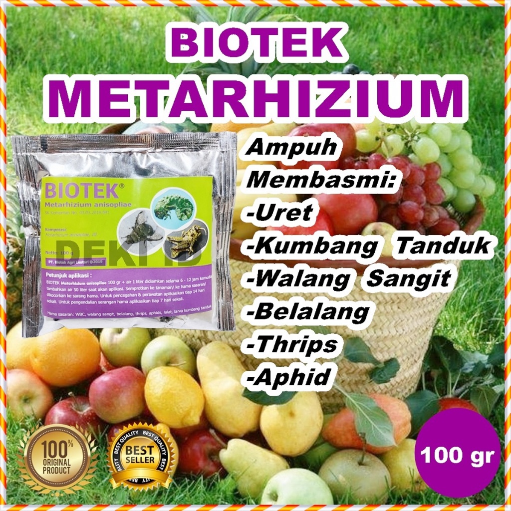 Biotek Metarhizium 100 gr Insektisida Organik Pembasmi Hama Uret Organik Pestisida Metarizium Anisop