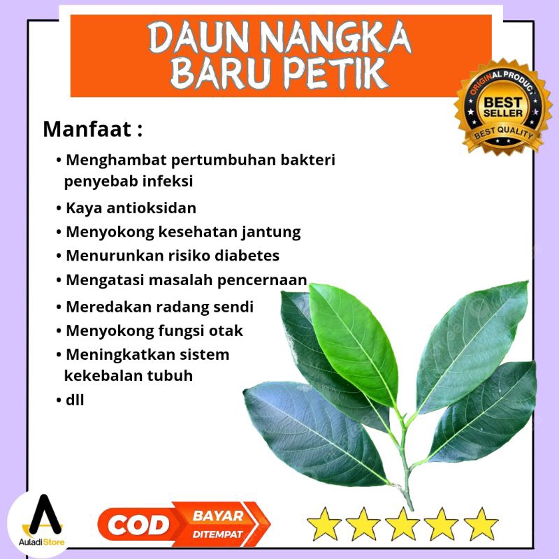 

Daun nangka fresh herbal / organik /alami