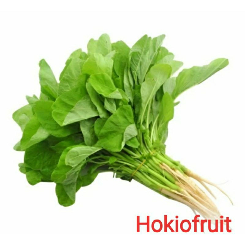 

Sayur Bayam/hokkysayur19