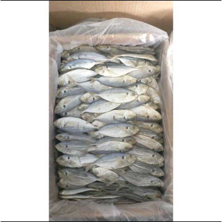 

IKAN ASIN SELAR MURAH