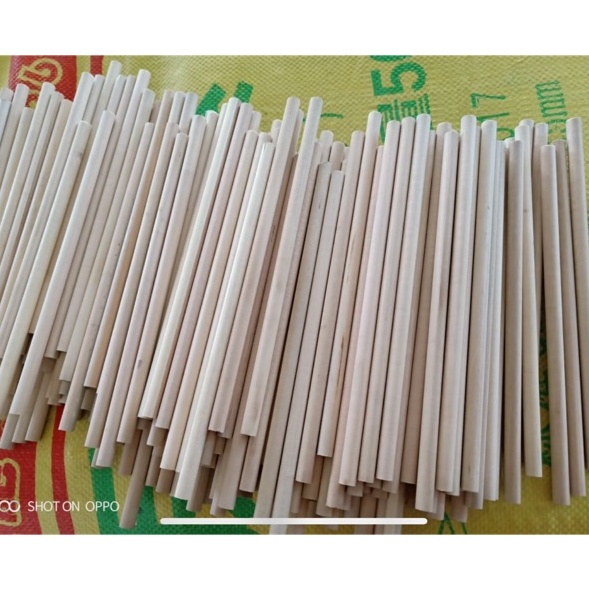 

Model Baru Pensil polos kayu isi 5 seikat segi enam bulat segitiga