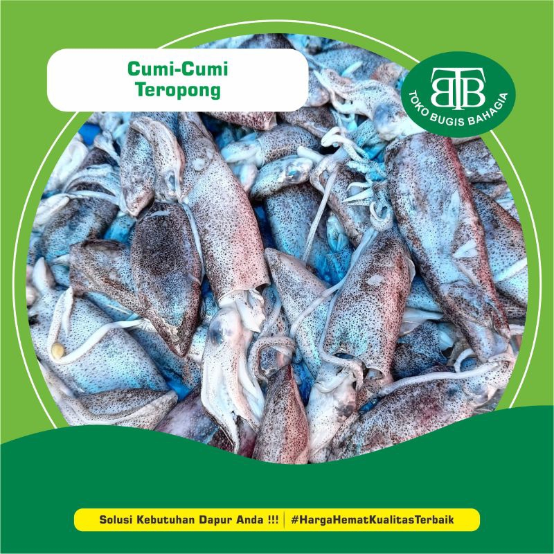 

Cumi-Cumi teropong Per 500gr