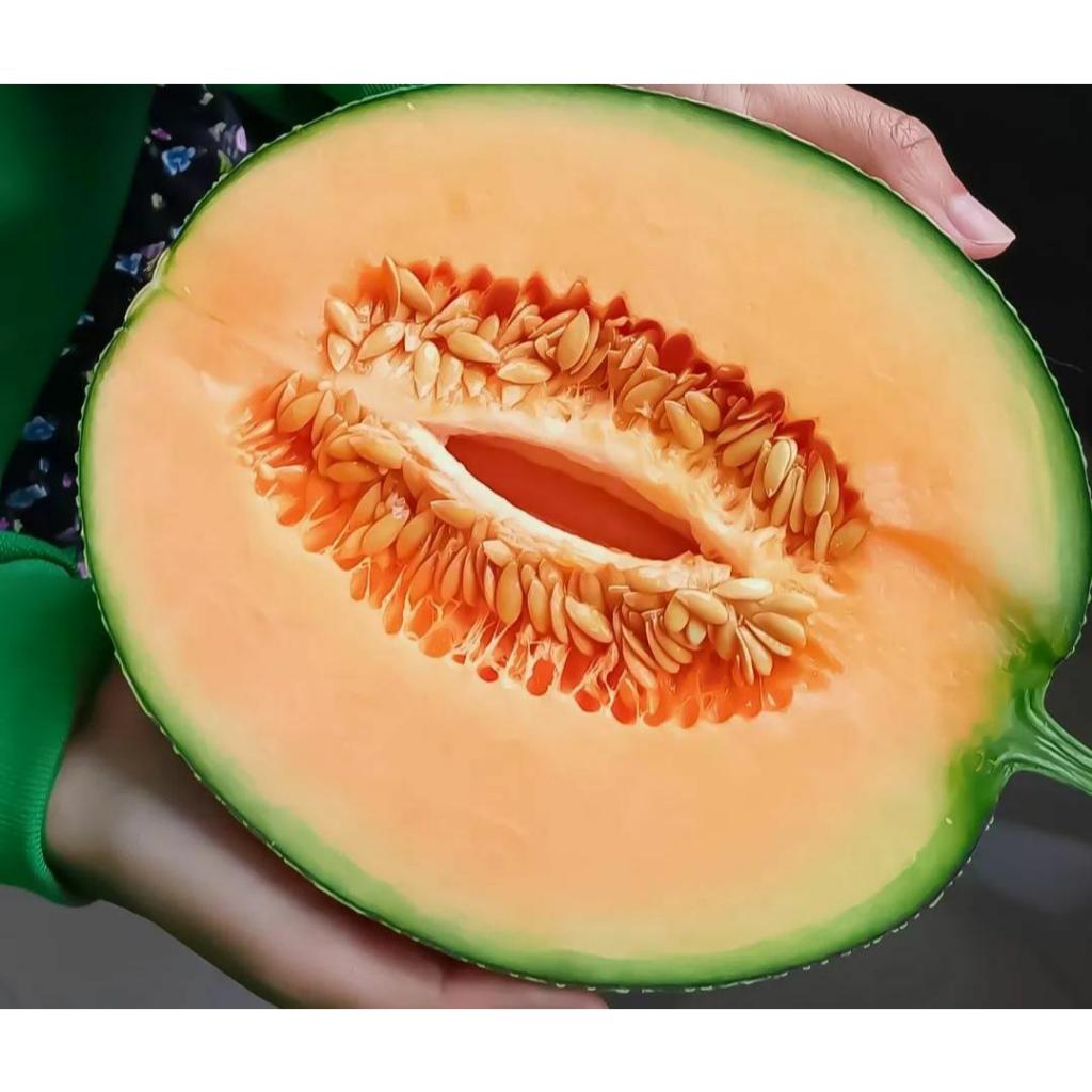 

melon kuning