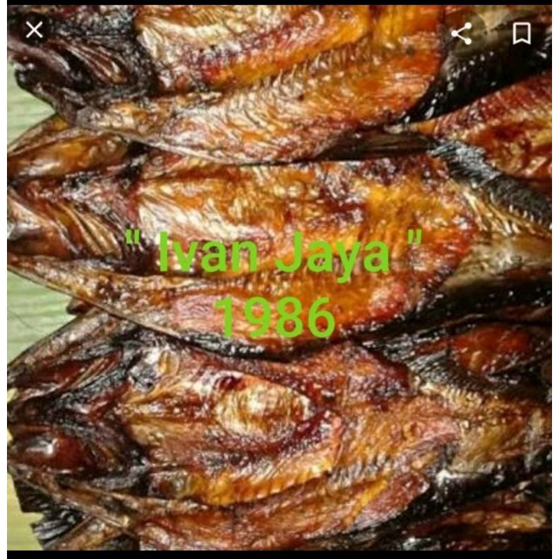 

ikan salai saleh asap sidempuan 250gr