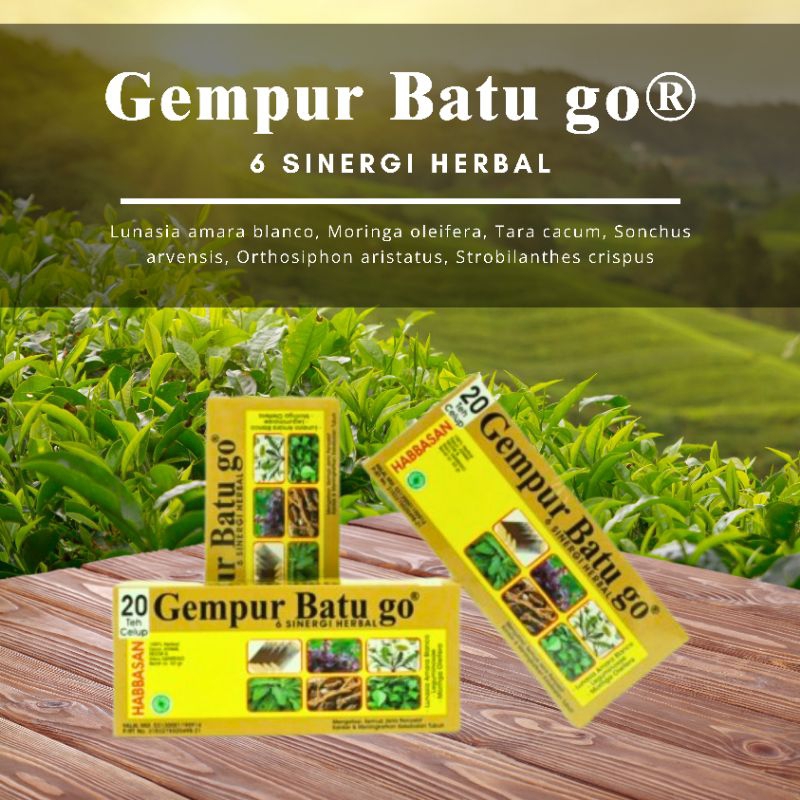 

Teh Celup Herbal Gempur Batu Go