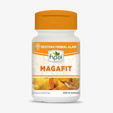 

Magafit HNI HPAI Obat Maag Kronis dan Organ Lambung, Solusi Maag Akut Anda HERBAL KUNYIT