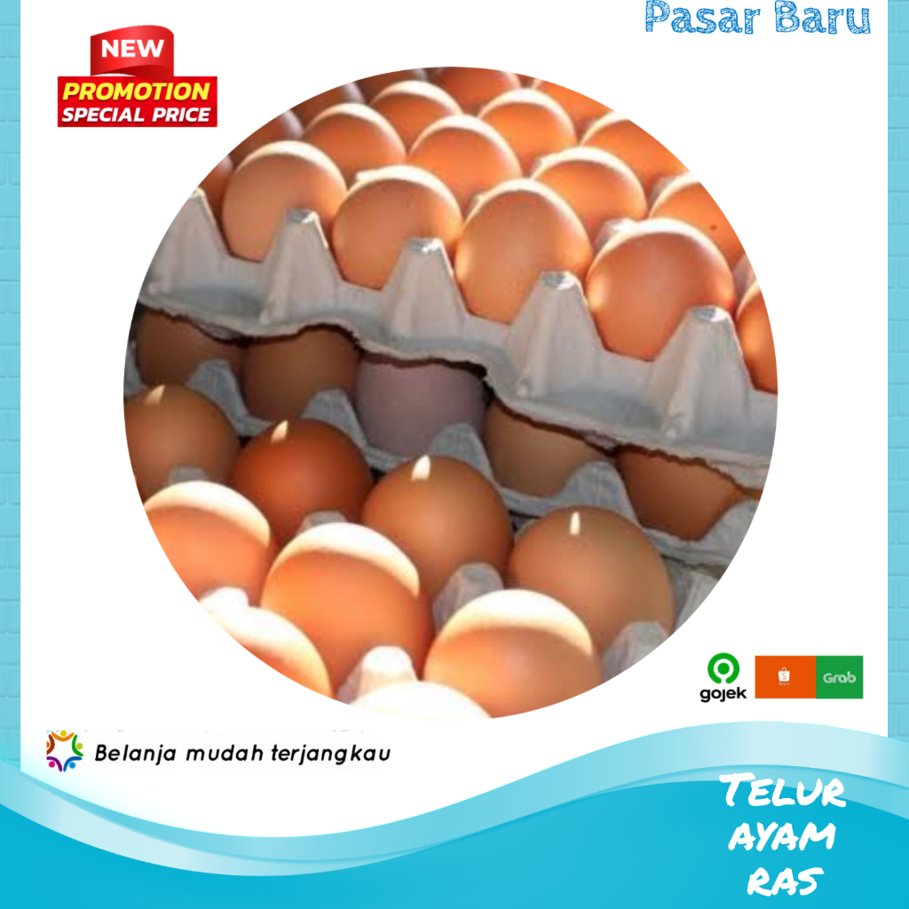 

Telur Ayam Ras • 1Butir ✓ Murah | Pasar Baru Makassar