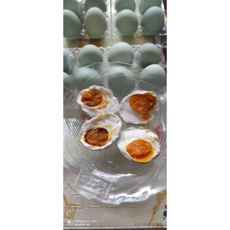 

Telur asin bebek mateng harga satuan