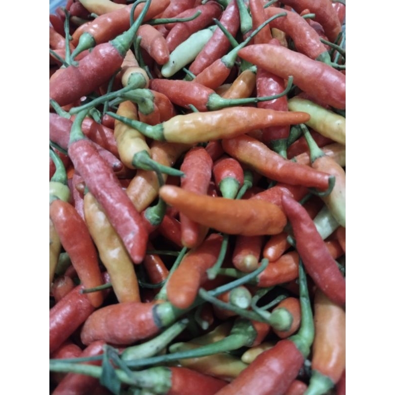 

(1 kg)cabe rawit merah, kecil panjang,sangat pedas.