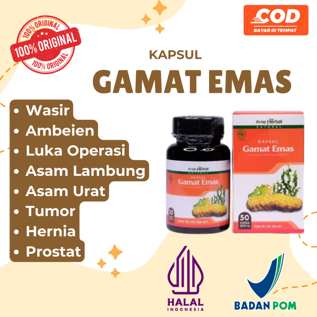 Kapsul Gamat Emas Herbal Untuk Permasalahan Wasir Ambeien Asam Lambung Maag