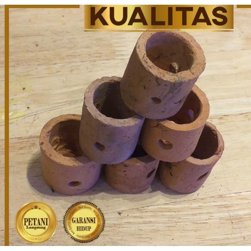 Pot Tanaman Air Aquascape Warna Coklat. Kontraskan Warna Hijau di Tank. Pot warna coklat