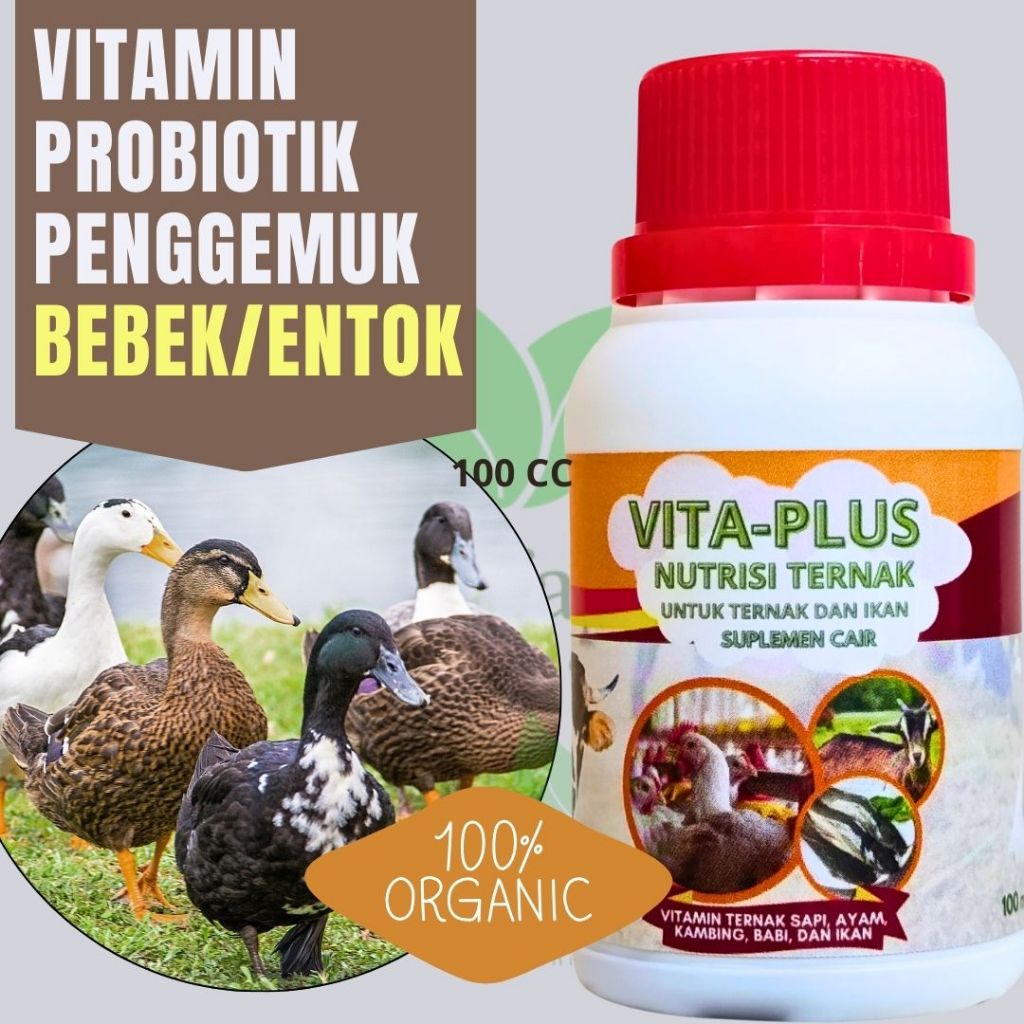 Cod Vitamin Bebek Petelur Penggemuk Anak Bebek Vitamin Bebek Pedaging Vitamin Nafsu Makan Bebek Ento