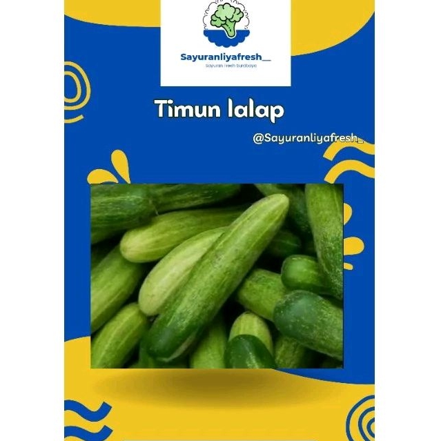 

Timun lalap