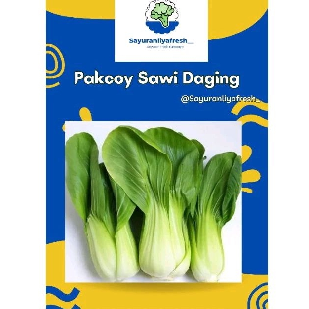

Pakcoy/ Sawi Daging
