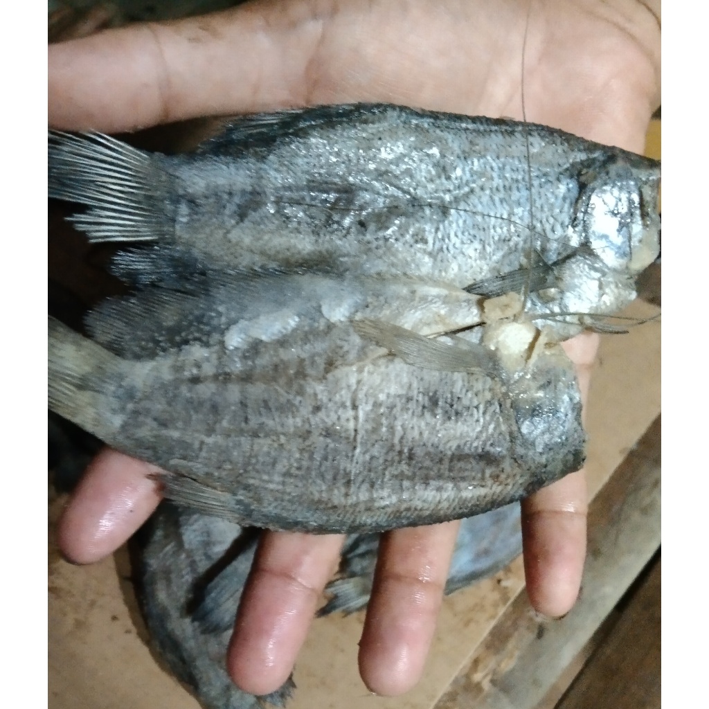 

250 Gram Ikan Asin Sepat/ Ikan Asin Murah/ Ikan Asin Enak/ Ikan Asin Palembang/ Ikan Asin Air Tawar