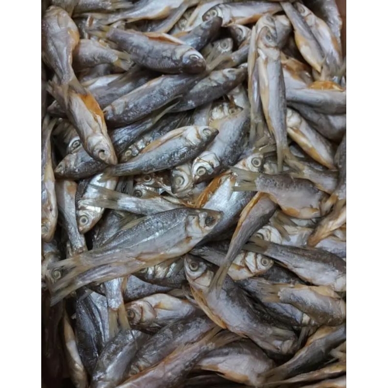 

Ikan Asin Kendia / salted fish (Grosir 17.000/kg)